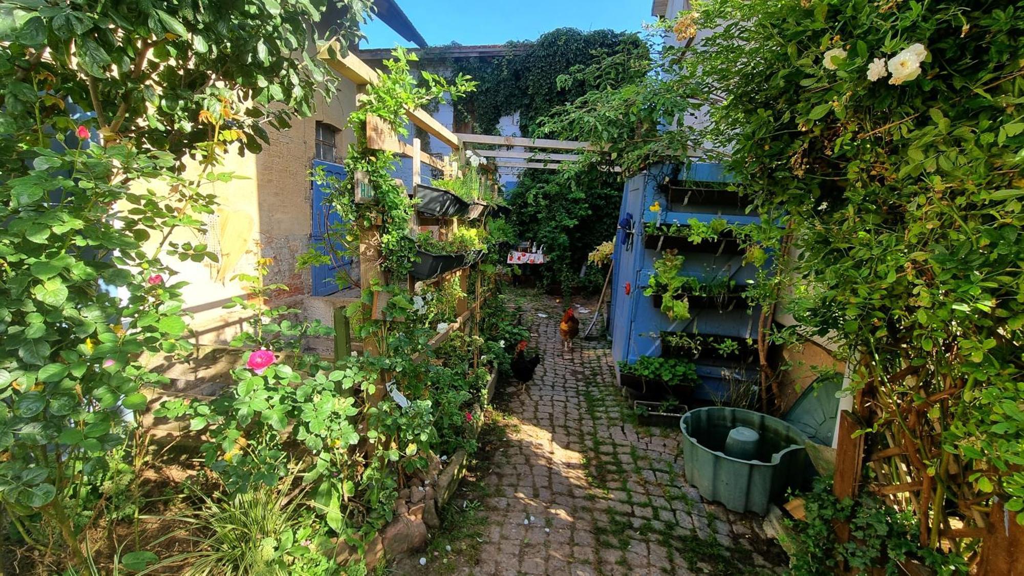 Bauernhof Privatzimmer Hortus Sandrine Gemeinschaftsbad Free Wifi Hausbreitenbach Exteriér fotografie